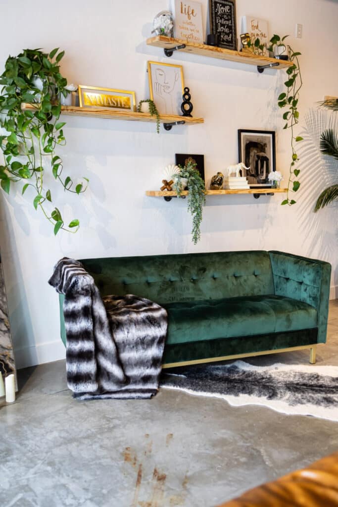 Chic photography studio in Oklahoma featuring a cozy green velvet couch with artistic wall decor and lush plants, creating a serene shooting environment.